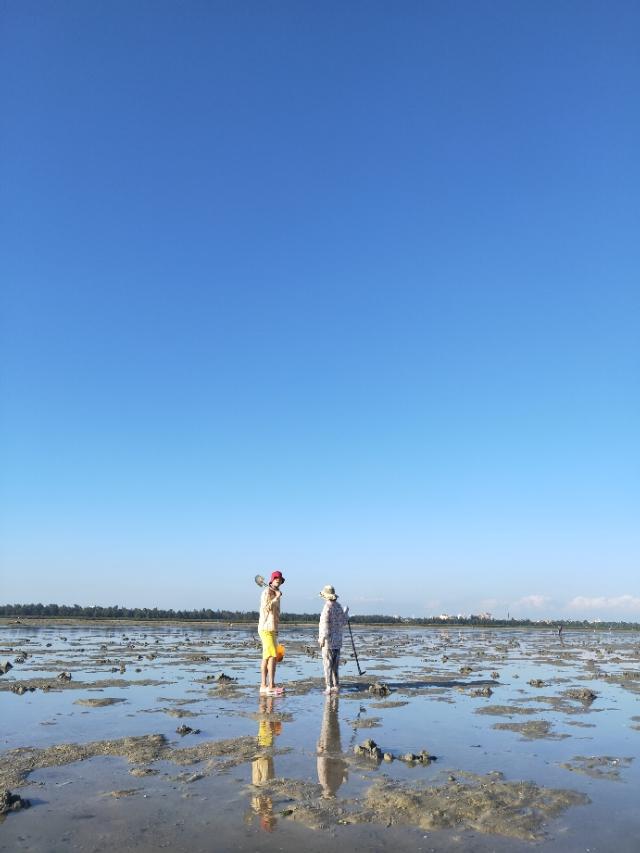 北海潮汐表2022年5月,北部灣潮汐表2021年(廣西北海趕海 免費奏是快樂