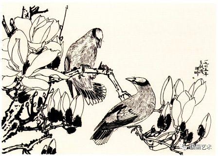 黄莺草，孙其峰 讲解黄鹂画法（黄莺草可以做干花吗）