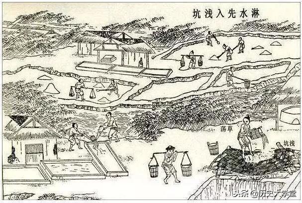 青盐与食盐有什么区别，青盐是食用盐吗（现今普普通通的食盐在古代为何不能私卖）