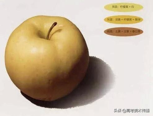 色彩中静物调色怎么调，色彩静物变调（教你理解快速掌握色彩静物）