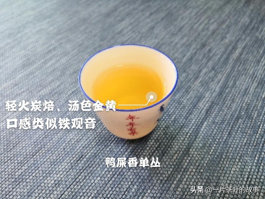 凤凰单枞属于什么茶(凤凰单枞为什么叫单枞)插图