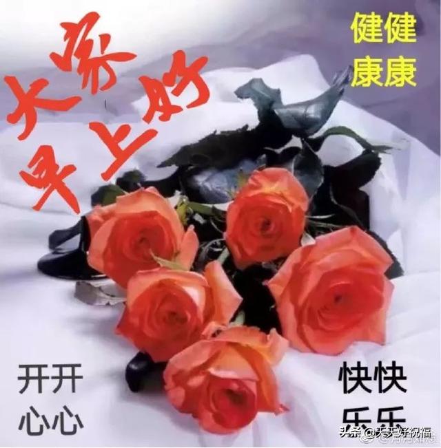 每日早安问候语，早安问候语暖心一句话（每日清晨最新早安问候语简短一句话致大家）