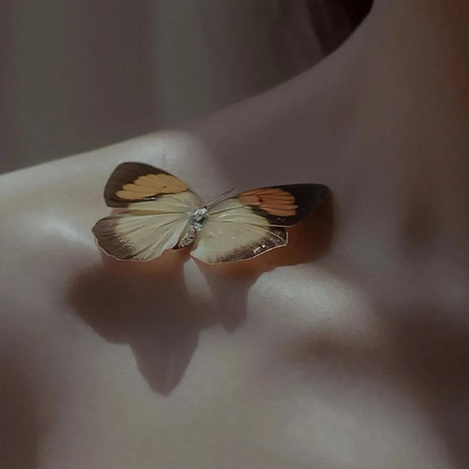 简约性冷淡风头像，程清然：性冷淡风微信（冷淡风头像：酌情付出）