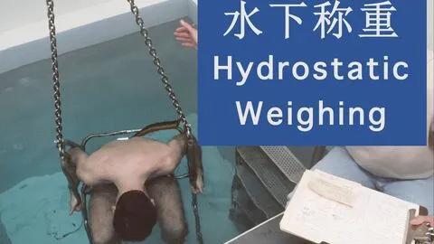 脂肪率是什么意思，体脂肪率是什么（体脂率-及脂肪相关知识）