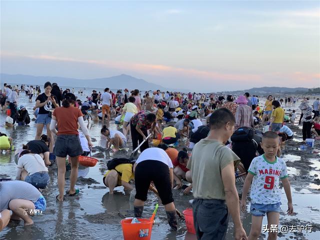 夏天的天空为什么那么蓝.，夏天的天空很蓝（香蕉暴晒一天直接被“烤焦”）