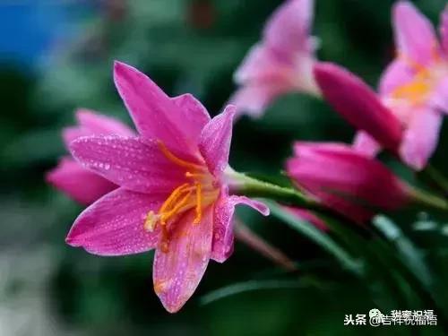 同事退休祝福语，给退休同事的祝福语2022（退休三气、三有、三乐……句句入骨）