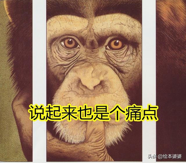 感应调压器原理，感应调压器原理图解（其实只是买错了顺序）