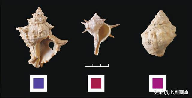 颜料是什么做的，国画颜料是什么做的（你知道最奇葩的颜料是用什么做的吗）