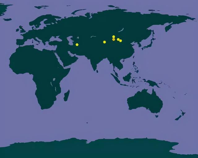 大象的耳朵有多大，大象的耳朵有多大图片（你绝对想不到是它）