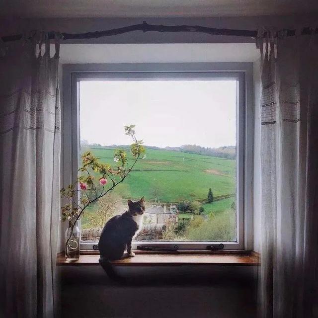 甜甜的情话文案，很甜很撩的情话句子（甜甜的情话文案合集）