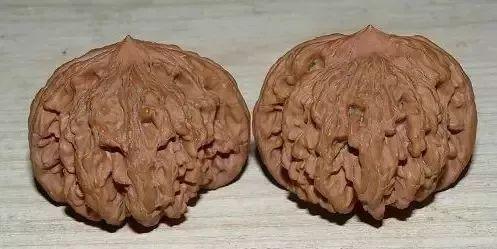 文玩核桃狮子头36万，赌核桃（文玩核桃狮子头大全）