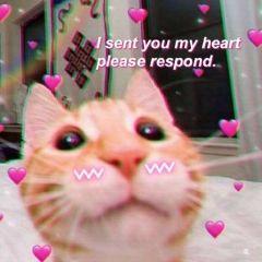 夏有芒果冬有板栗而你四季都有我，微信头像，古风情头：夏有芒果冬有板栗而你四季都有我（适合朋友圈宣布恋情的短句）