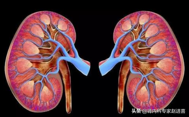 肌酐值多少正常，人的肌酐多少为正常（肌酐达到多少就需要做透析了）