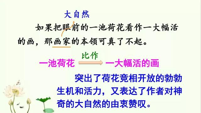 小莲蓬的拼音,的读音是什么(部编版三年级下册 3《荷花》) 小莲蓬的拼音,的读音是什么(部编版三年级下册 3《荷花》)