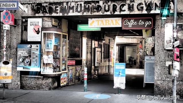 维也纳是哪个国家的，维也纳属于哪个国家（维也纳是奥地利首都也是世界音乐之都）