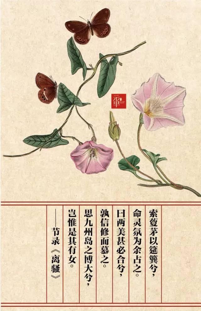 木兰科的常见地被植物有哪些，常绿木兰科植物有哪些（收藏起来留给孩子慢慢看）