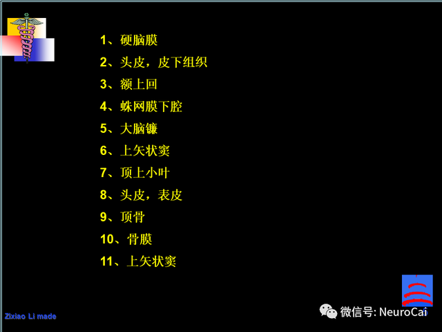 大脑结构图及功能图，人类大脑十大三维解剖图（脑局部解剖与功能图谱）