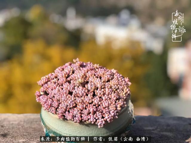 很丧很失望——低眉.，皱着眉头哭丧（陪你度过寒冷的圣诞平安夜图片）