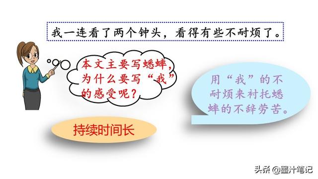 蟋蟀的住宅指的是什么，蟋蟀的住宅 是指什么（第三单元《蟋蟀的住宅》课文讲析）