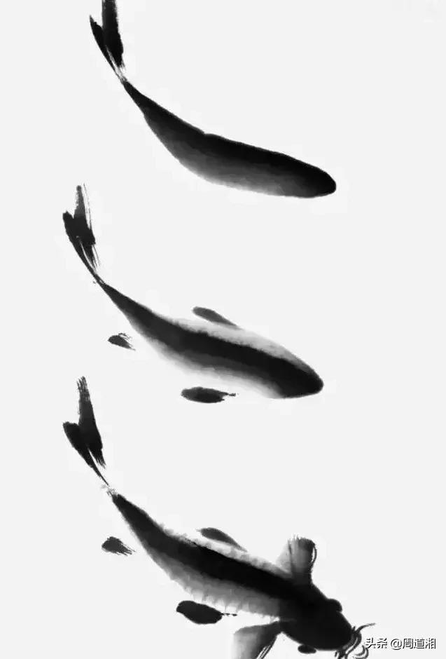 金鱼画法步骤图解,国画写意鲤鱼、金鱼的画法 金鱼画法步骤图解,国画写意鲤鱼、金鱼的画法