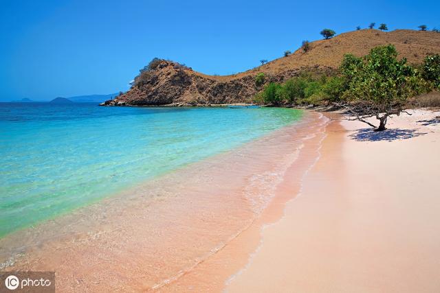 中国粉色沙滩在哪，中国粉色沙滩在哪个省份（Sands><巴哈马群岛>）