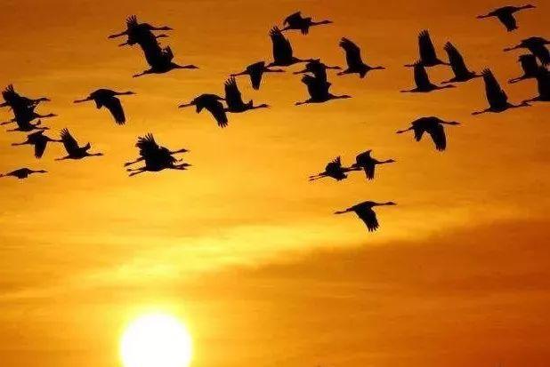 红色经典影视民歌，最新革命红歌最好听的十首歌（那些美到窒息的红色经典歌曲）