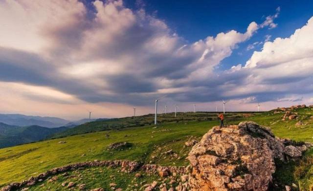 雪绒花（雪绒花图片，空中草原——漂亮的雪绒花（雪花绒图片大全）