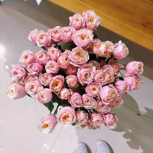 各种玫瑰花的含义，各色的玫瑰花有什么含意（一篇文章认全花店必备80种玫瑰花）