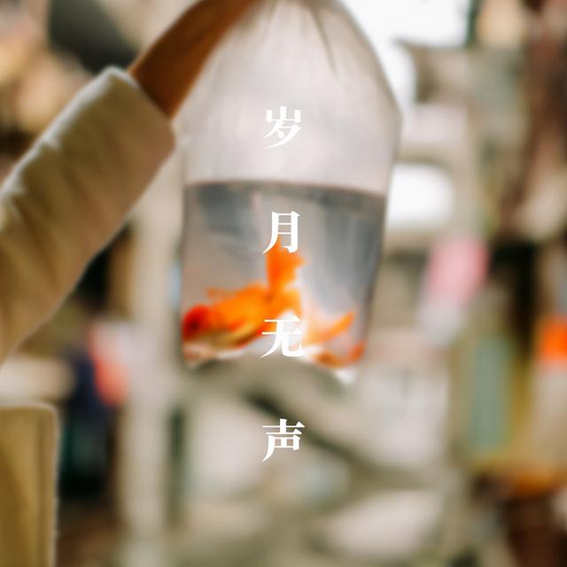 怀念过去的诗句，十首回忆诗词（感慨岁月催人老的古诗词）