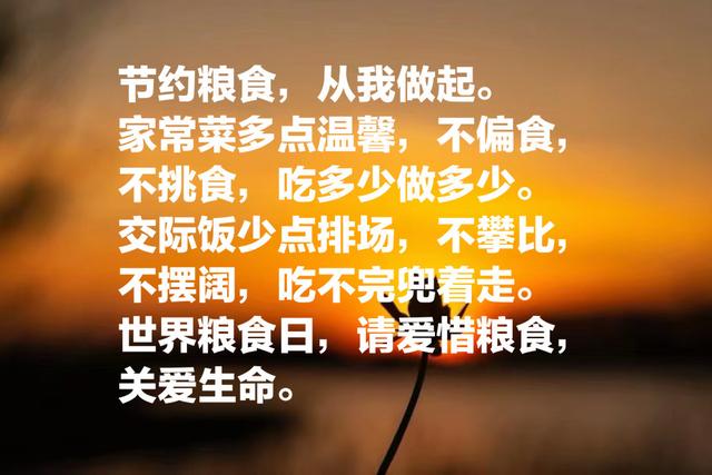 拒绝浪费粮食的句子，关于拒绝浪费粮食的短句（分享十句关于珍惜粮食语录）