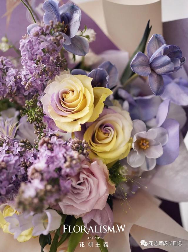 厄瓜多尔玫瑰是染色吗，厄瓜多尔玫瑰是染色吗为什么