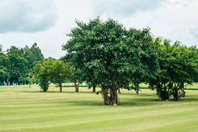 观澜属于深圳哪个区,观澜属于深圳哪个区地图(观澜,景美人少) 观澜属于深圳哪个区,观澜属于深圳哪个区地图(观澜,景美人少)