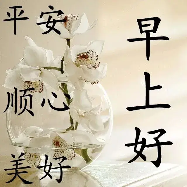 关于问心无愧的语录，问心有愧的句子（努力做好一个问心无愧的自己）
