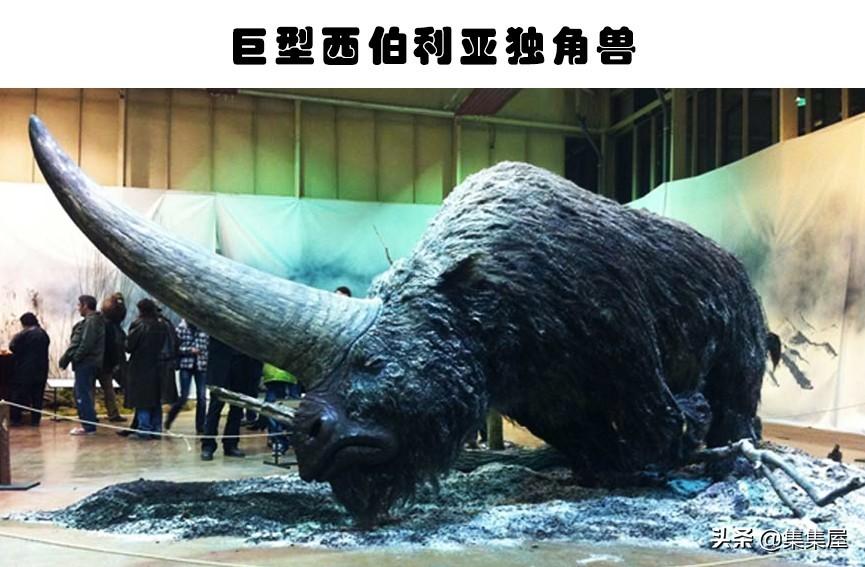 十大已灭绝恐怖鲨鱼盘点：远古海洋霸主的惊悚真面目