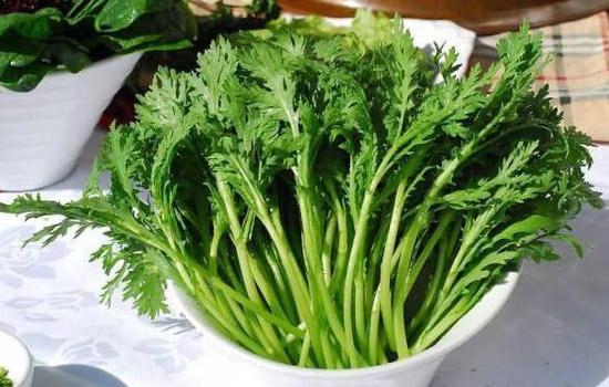 茼蒿怎么做好吃，茼蒿除了炒还可以怎么吃（茼蒿的3种经典吃法）