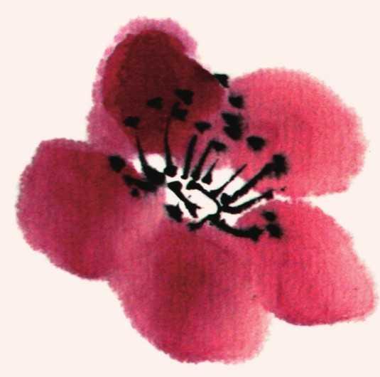 简单国画梅花，怎么样用圈点结合画法画梅花