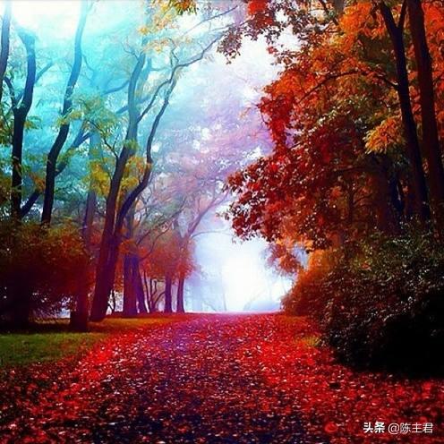 内蒙古人所说的风季是哪个季节，蒙古人的风季是什么季节（中国历史地理常识大全）