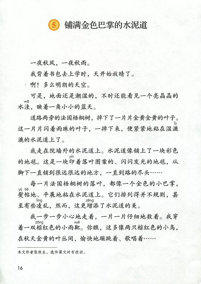 金黄的什么填词语，金黄的什么填空（部编版三年级语文上册第5课《铺满金色巴掌的水泥道》图文讲解）