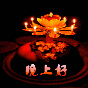 打招呼的句子，晚安心语打招呼的语句