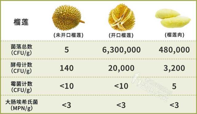 榴莲冷冻好吃还是冷藏好吃，榴莲冰冻好吃还是不冻好吃（牢记几招，保你一开一个准）