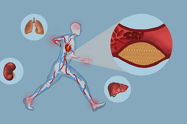 吃垃圾食品的危害，吃垃圾食品的危害演讲稿（“垃圾食品”就等于加工类零食吗）