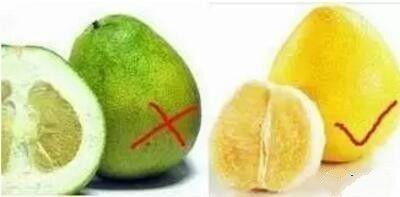 橘红的功效与作用，橘红的功效与作用吃法（这种水果浑身都是宝，降糖）