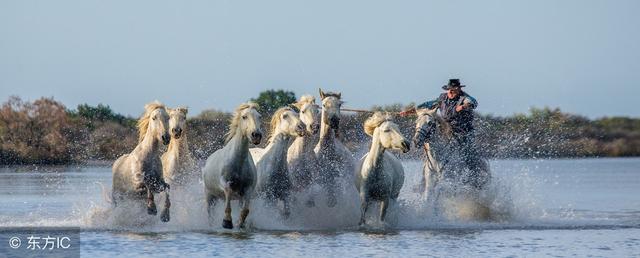 有益的动物有哪些，有益的动物有哪些名称是（其中有一种你绝对猜不到的）
