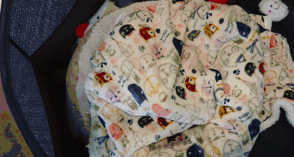 什么被子最保暖，什么被子最暖和（这款羽绒被一整晚恒温26℃）