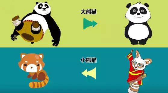 小熊猫和大熊猫，小熊猫是幼年的大熊猫吗（“小熊猫”不是小熊猫）