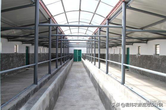 小型养牛场基本设置，10头牛场设规划方案