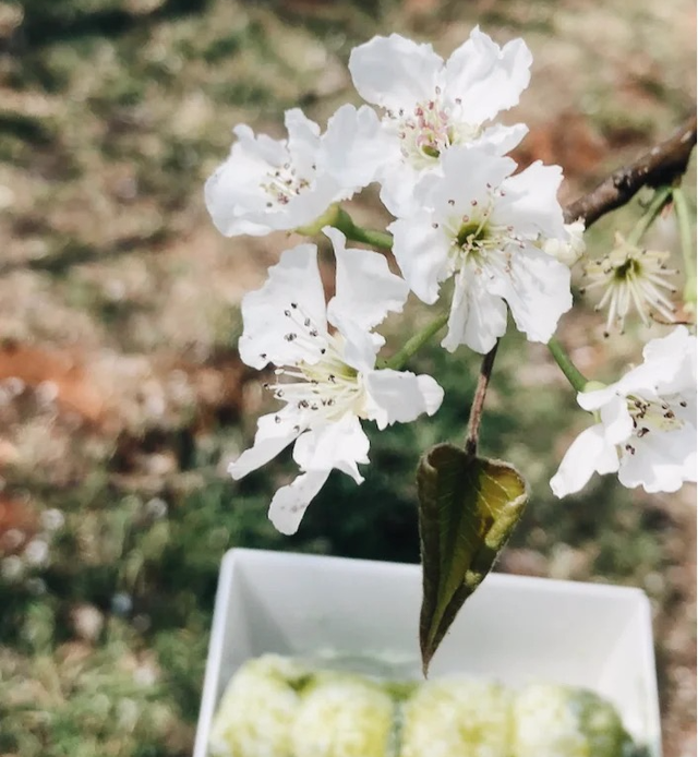 昆明好玩的地方，昆明好玩的地方排行榜（12个昆明近郊亲子自驾游好去处）