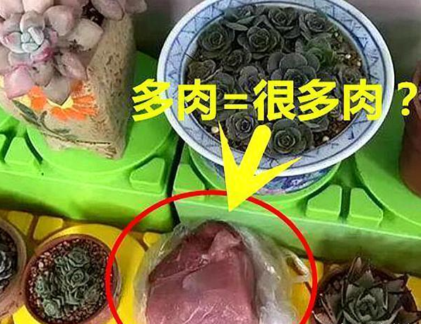 笑死人的奇葩作业，萌娃被老师“坑”过的课外作业