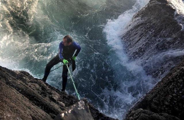 藤壶长在鲸鱼身上疼吗，藤壶在鲸鱼身上疼吗（看看海龟、鲸和船舶的下场就懂了）