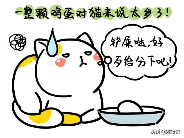 猫咪可以吃蛋白吗，猫咪可以吃蛋白拌猫粮吗（生鸡蛋更营养，熟鸡蛋更安全）